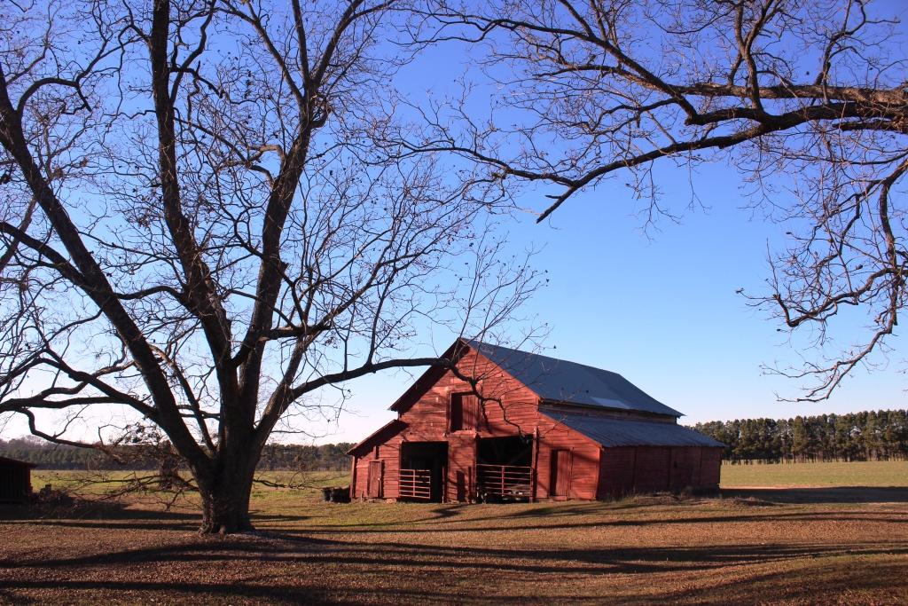 Bethea Farmstead, Dillon County