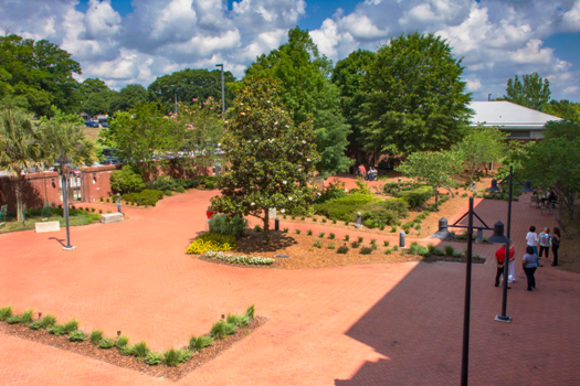 Image of Carolina Garden
