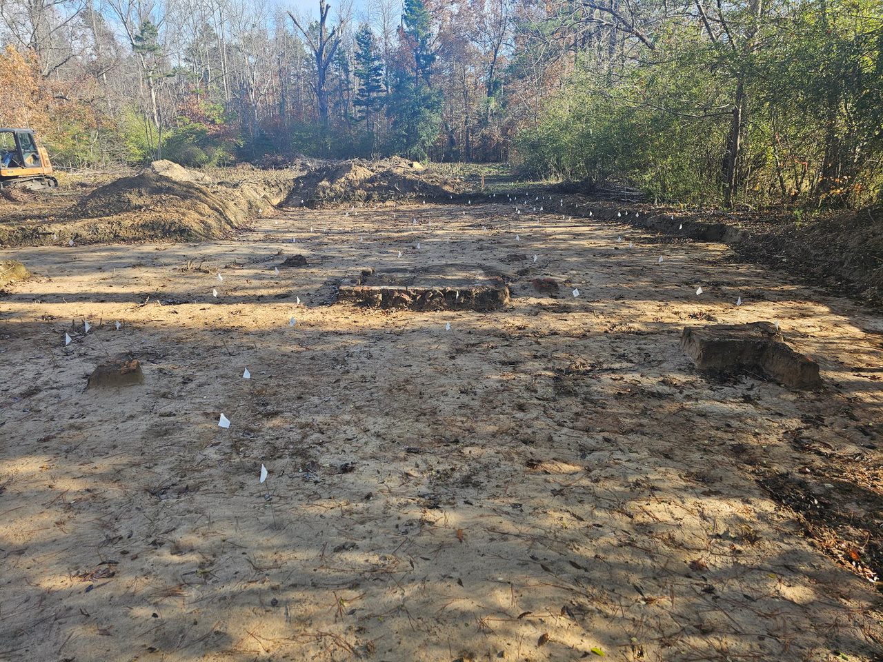 Plantation Exposed During Data Recovery